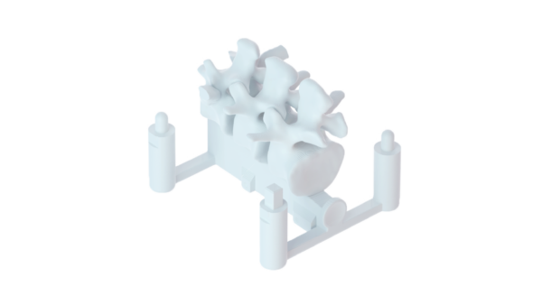 SimBone-T12-L2